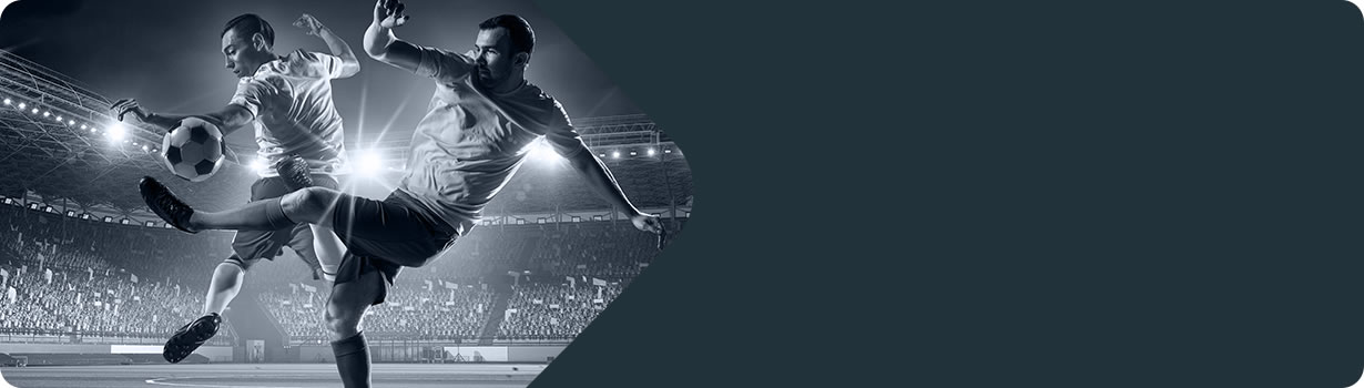 sudoku pdf free print
